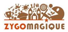 zygomagique location de jeux en bois ,structure gonflable, arcade ,flipper, baby foot.